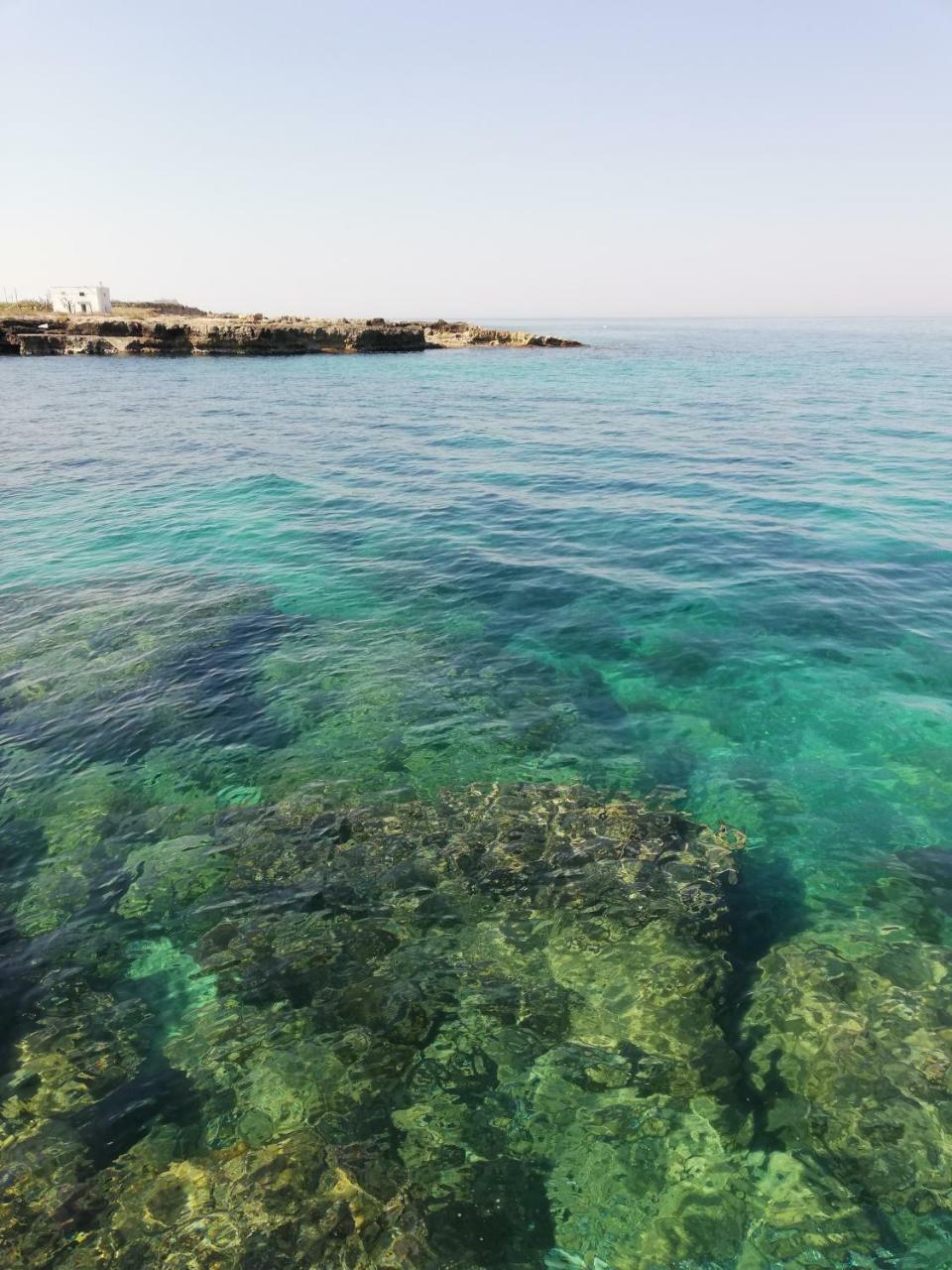 Villa Torto Monopoli Buitenkant foto